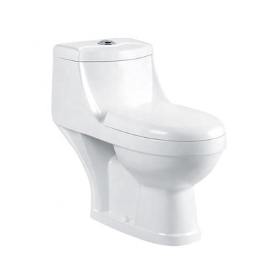 Manufacturer Wholesale Floor Mounted Washdown S-trap One Piece Toilet Ceramic Toilets