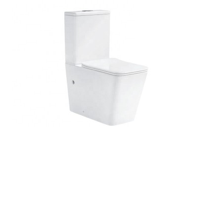 New Design Floor Mounted Washdown Two Piece Ceramic Toilet