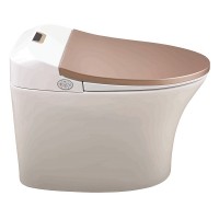 OEM  bagina sitting warm water vagina washing bidet toilet