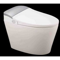 Vagina smart seat styrofoam washing bidet toilet