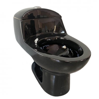 south America  indoors black color one piece toilet